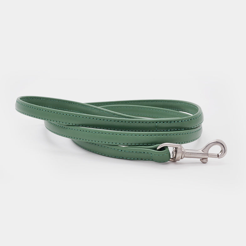 Guinzaglio Classico in Pelle VERDE