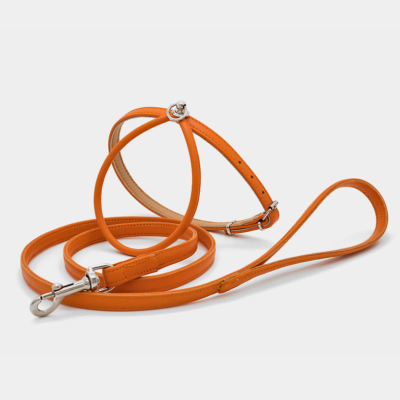 Pettorina in Pelle ARANCIO