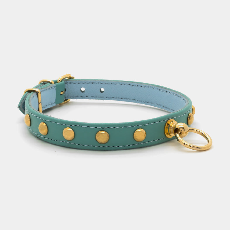 Collare in Pelle Turchese con BORCHIE