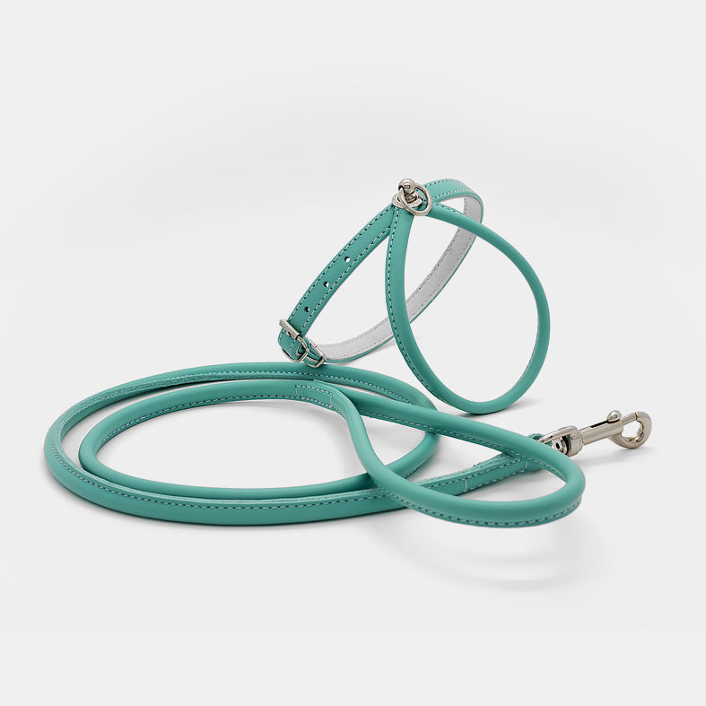 Guinzaglio Tubolare in Pelle Turchese