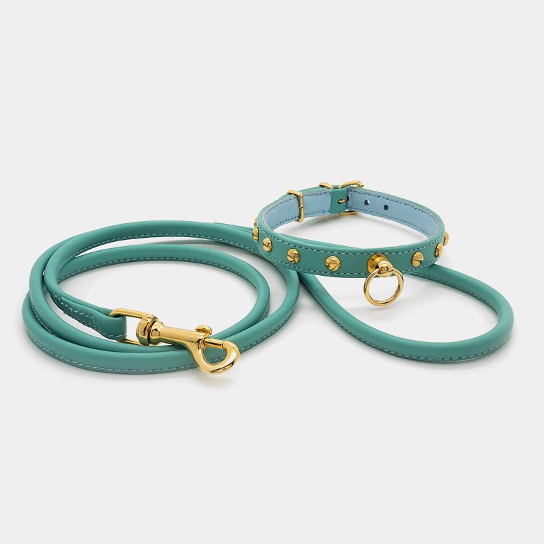 Collare in Pelle Turchese con BORCHIE