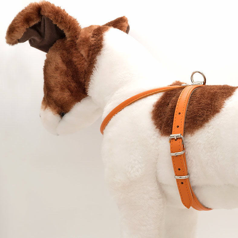 Pettorina in Pelle ARANCIO
