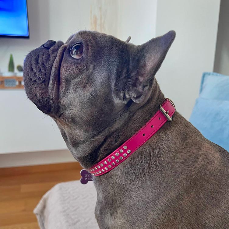 Collare In Pelle Fucsia DOPPIO STRASS