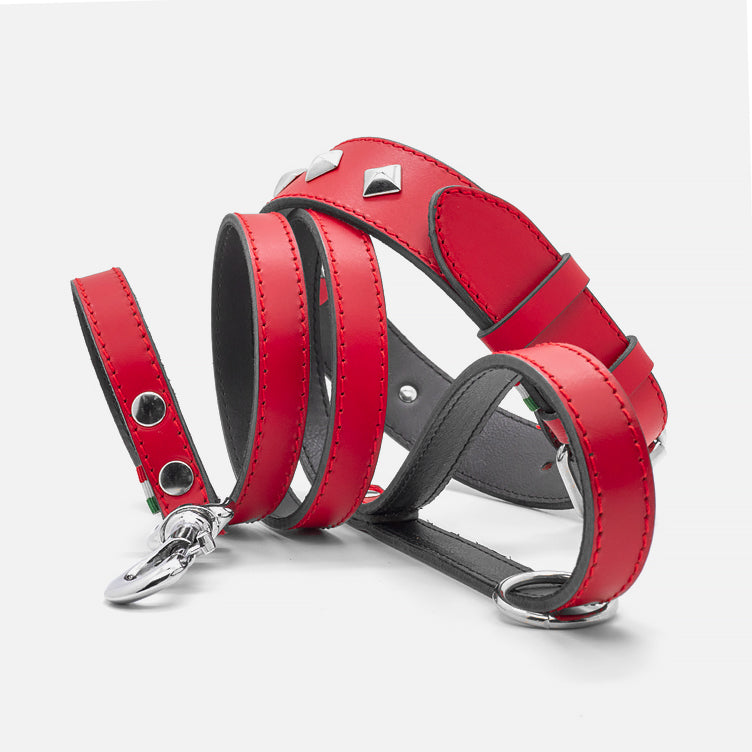 Guinzaglio in Pelle ROSSO BONE
