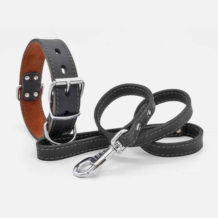 Collare in pelle Black OX