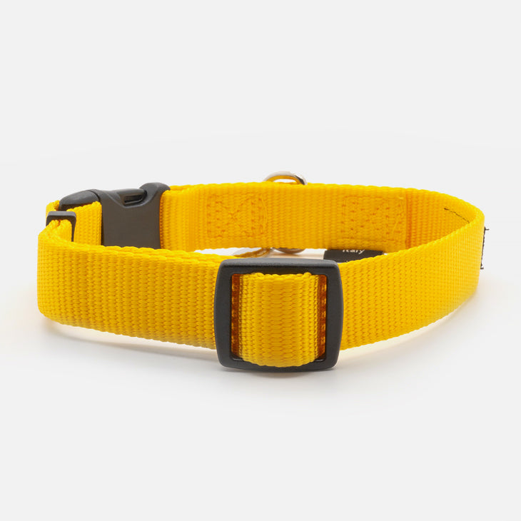 Collare in Nylon EASY GIALLO