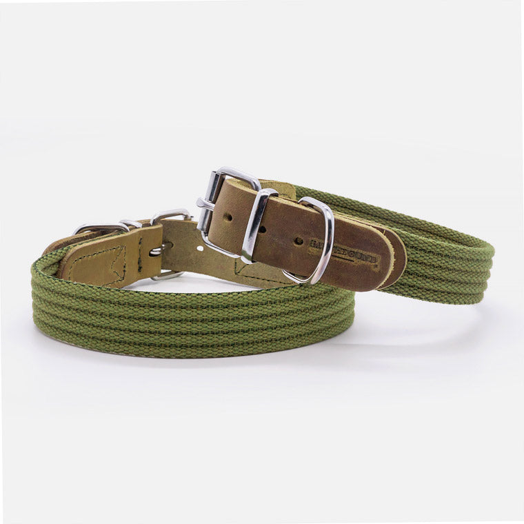Collare in Pelle e Cotone GREEN
