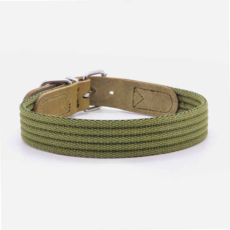 Collare in Pelle e Cotone GREEN