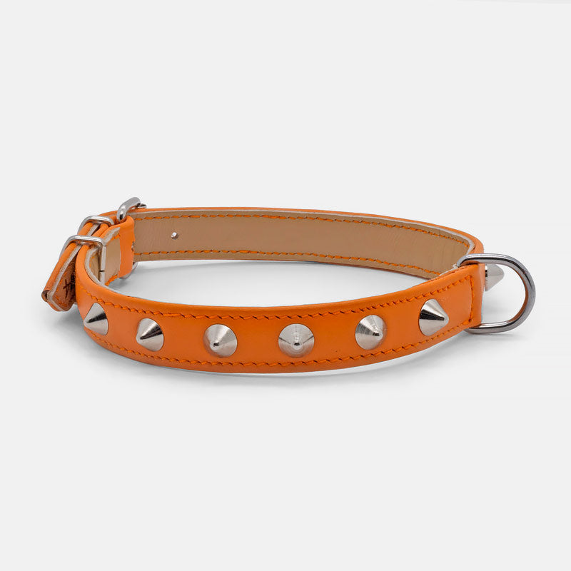 Collare in Pelle Arancio CONI
