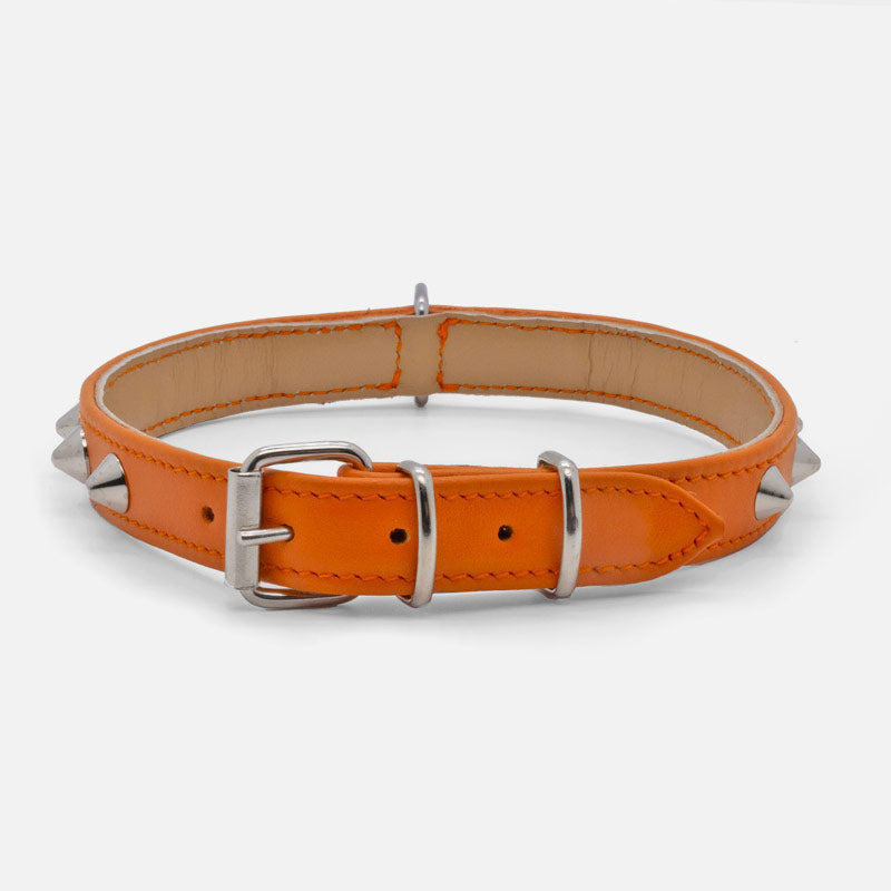 Collare in Pelle Arancio CONI