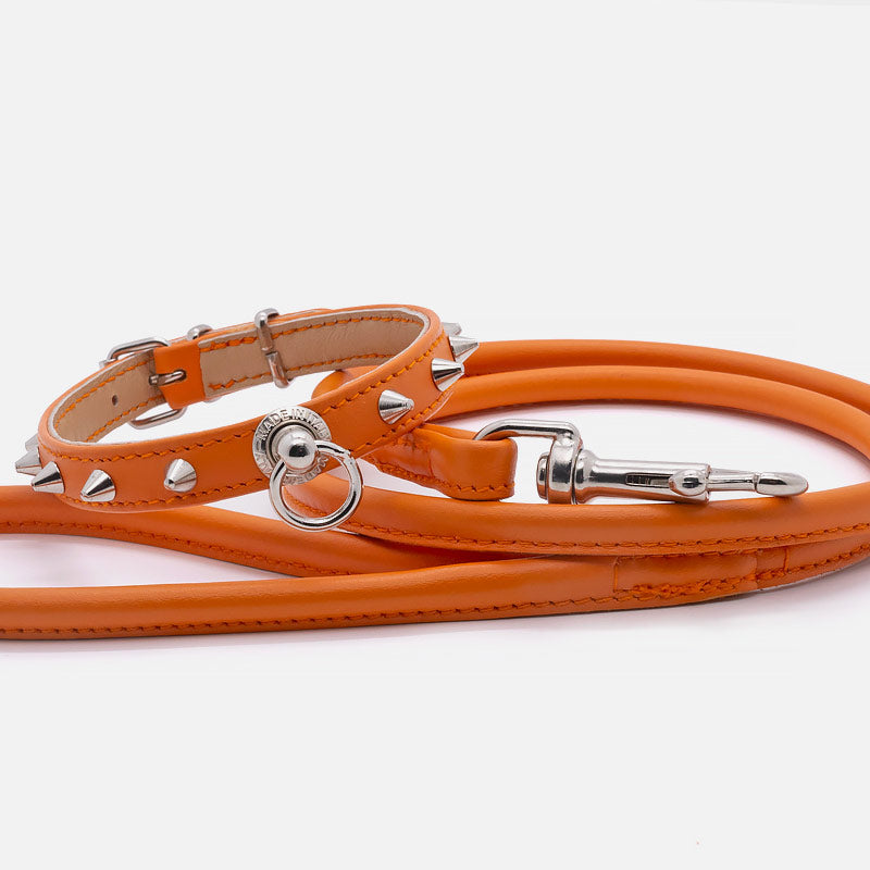 Collare in Pelle Arancio CONI