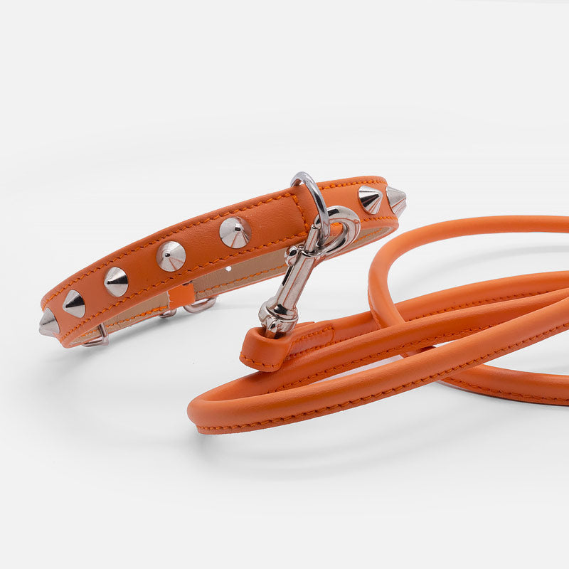 Collare in Pelle Arancio CONI