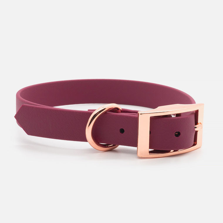 Collare in Biothane Wine H19mm