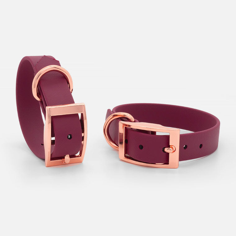 Collare in Biothane Wine H19mm