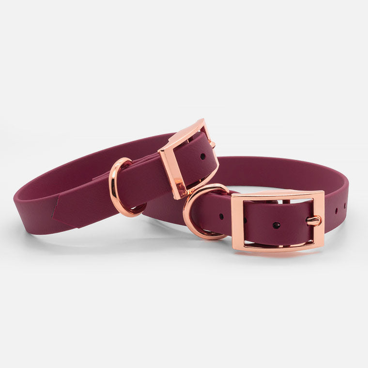 Collare in Biothane Wine H19mm