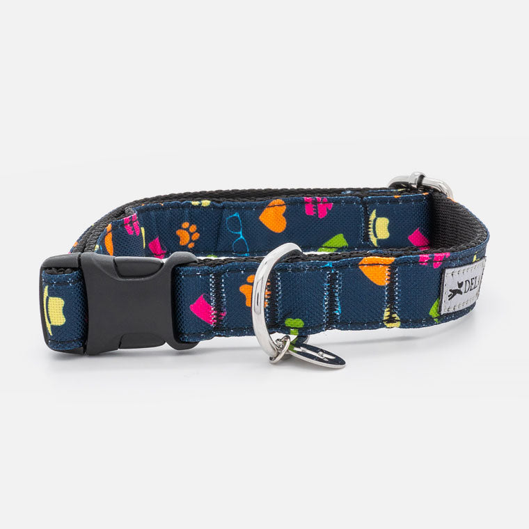 Collare in Nylon ACTIVITY