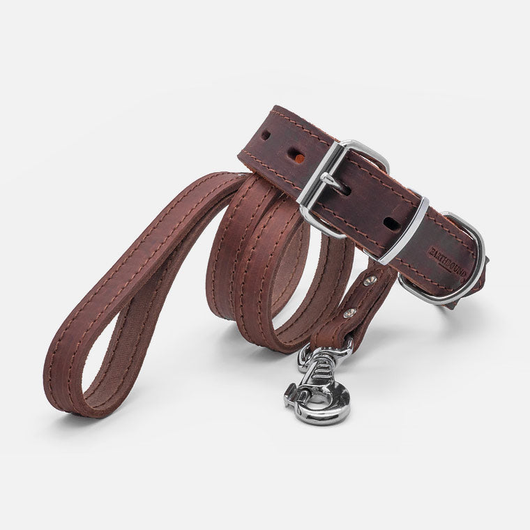 Collare in pelle Brown OX