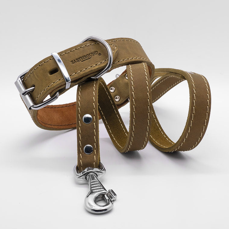 Collare in pelle Green OX
