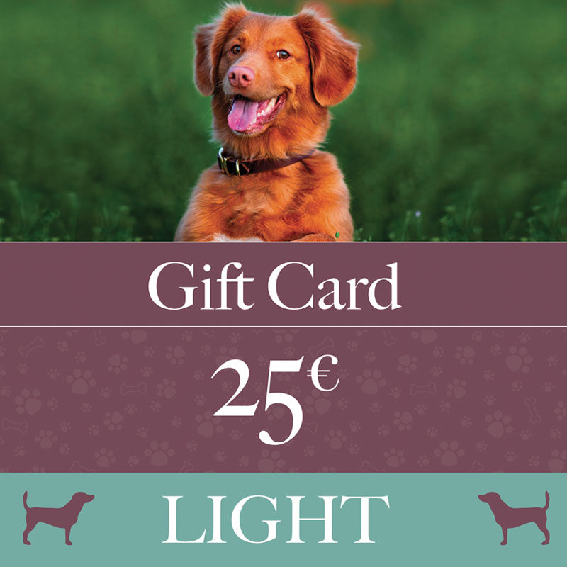 Gift Card LIGHT