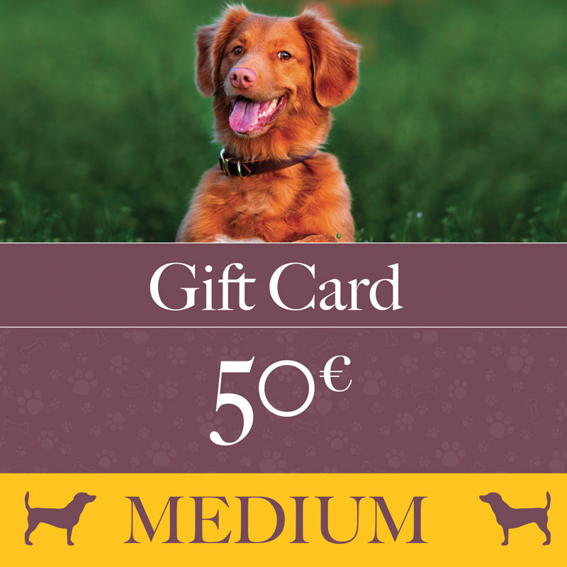 Gift Card MEDIUM