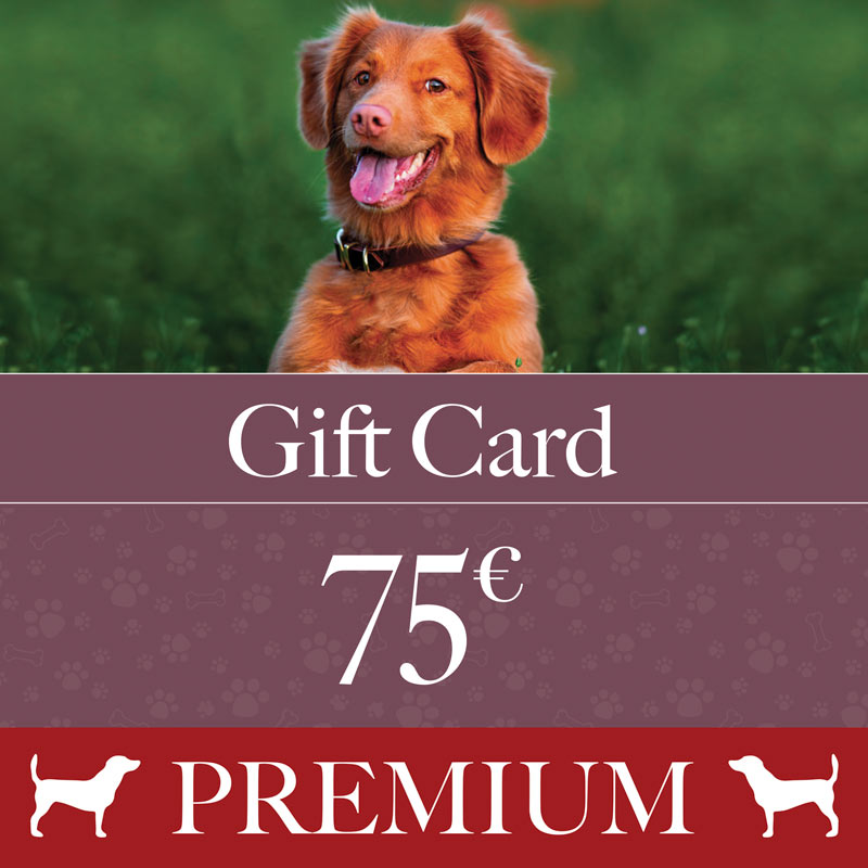 Gift Card PREMIUM