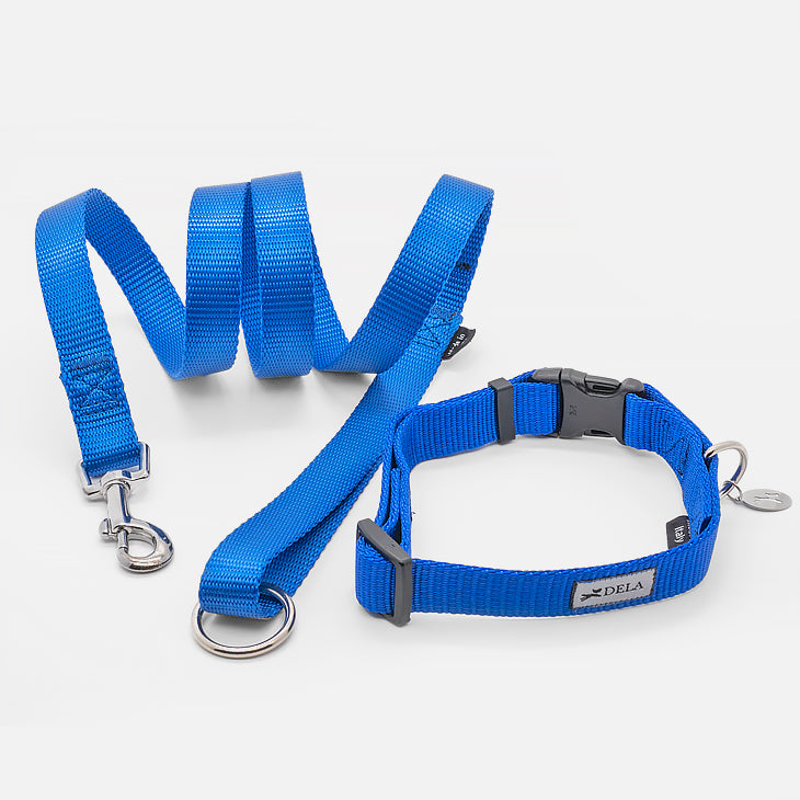 Guinzaglio in Nylon EASY BLU