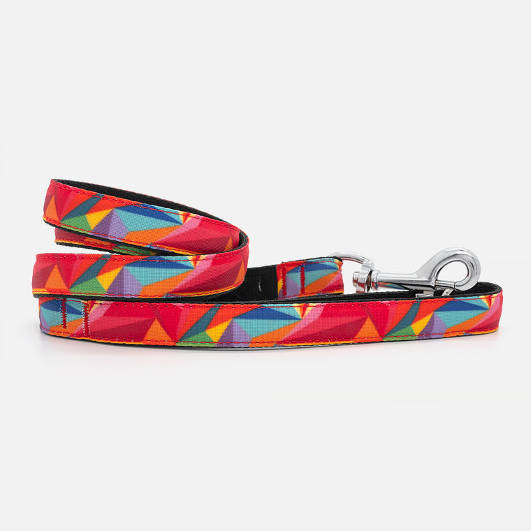 Guinzaglio in Nylon ENERGY