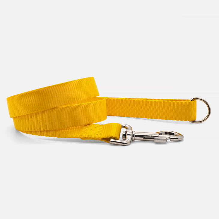 Guinzaglio in Nylon EASY GIALLO