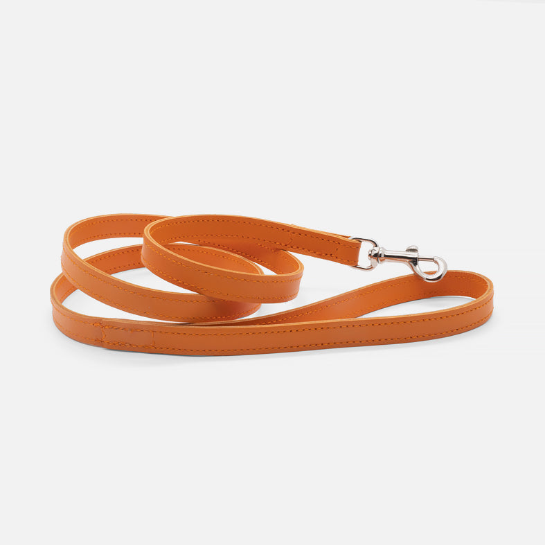 Guinzaglio Piatto in Pelle ARANCIO