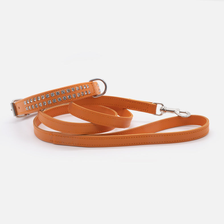 Guinzaglio Piatto in Pelle ARANCIO