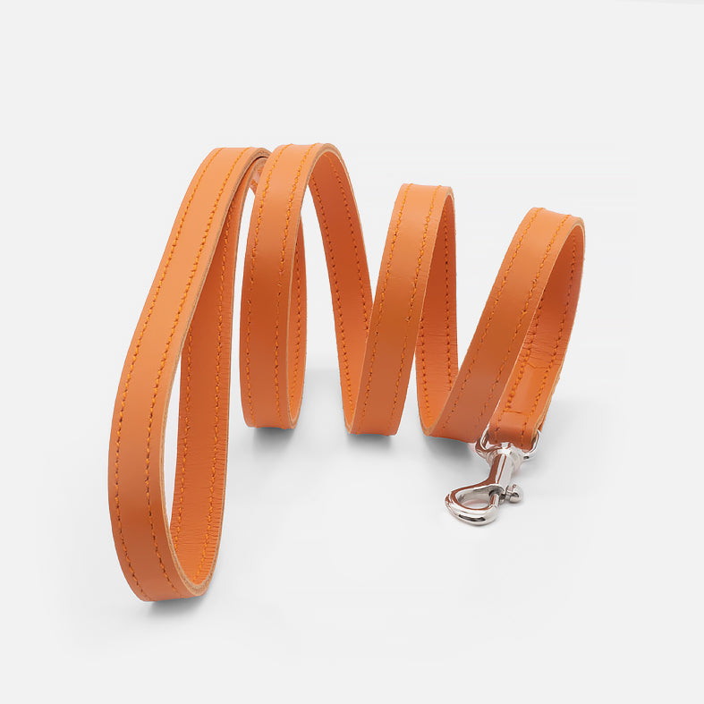 Guinzaglio Piatto in Pelle ARANCIO