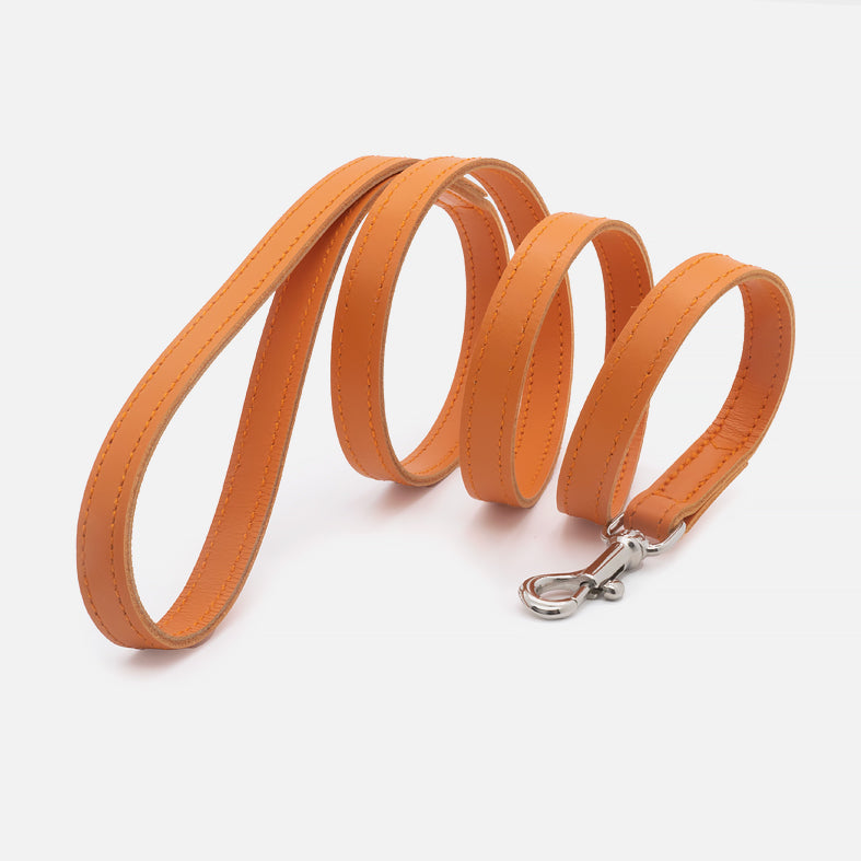 Guinzaglio Piatto in Pelle ARANCIO