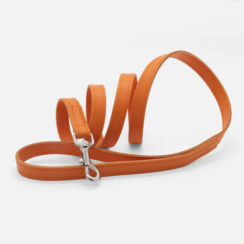 Guinzaglio Piatto in Pelle ARANCIO