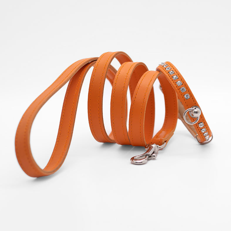 Guinzaglio Piatto in Pelle ARANCIO