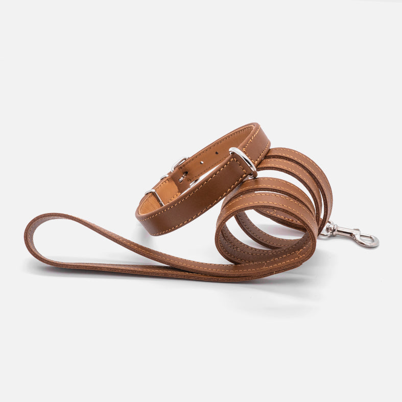 Guinzaglio Piatto in Pelle COLONIALE