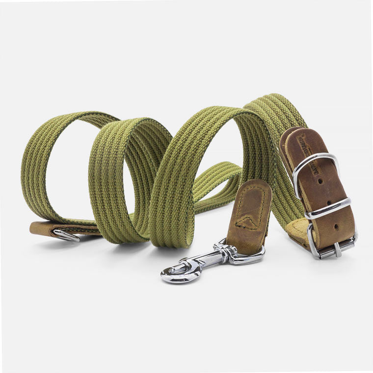 Guinzaglio in Cotone e Pelle GREEN