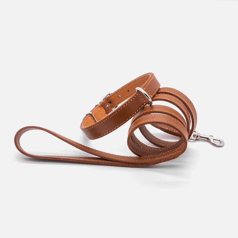 Collare in Pelle COLONIALE