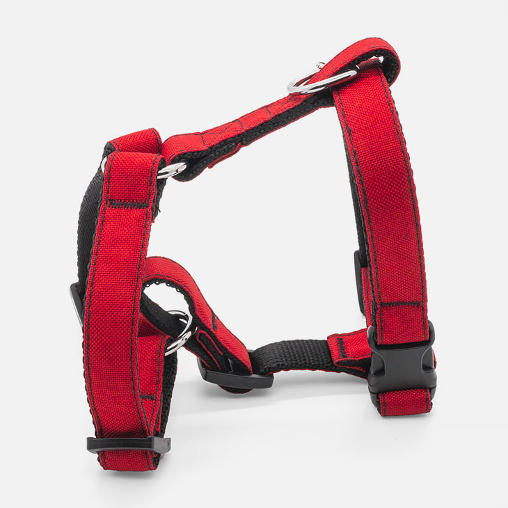 Pettorina ad H SCARLET