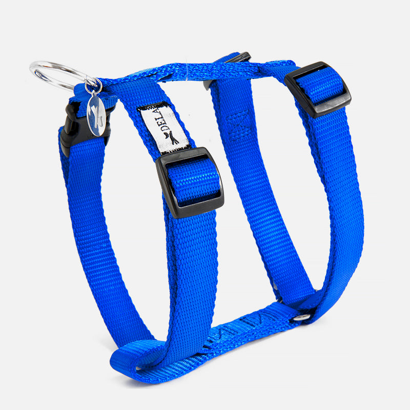 Pettorina ad H EASY BLU