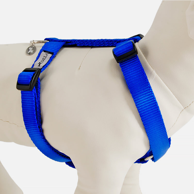 Pettorina ad H EASY BLU