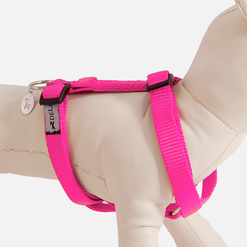 Pettorina ad H EASY ROSA