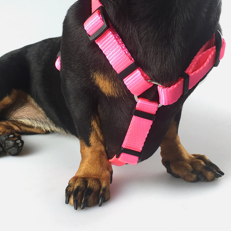 Pettorina ad H EASY ROSA