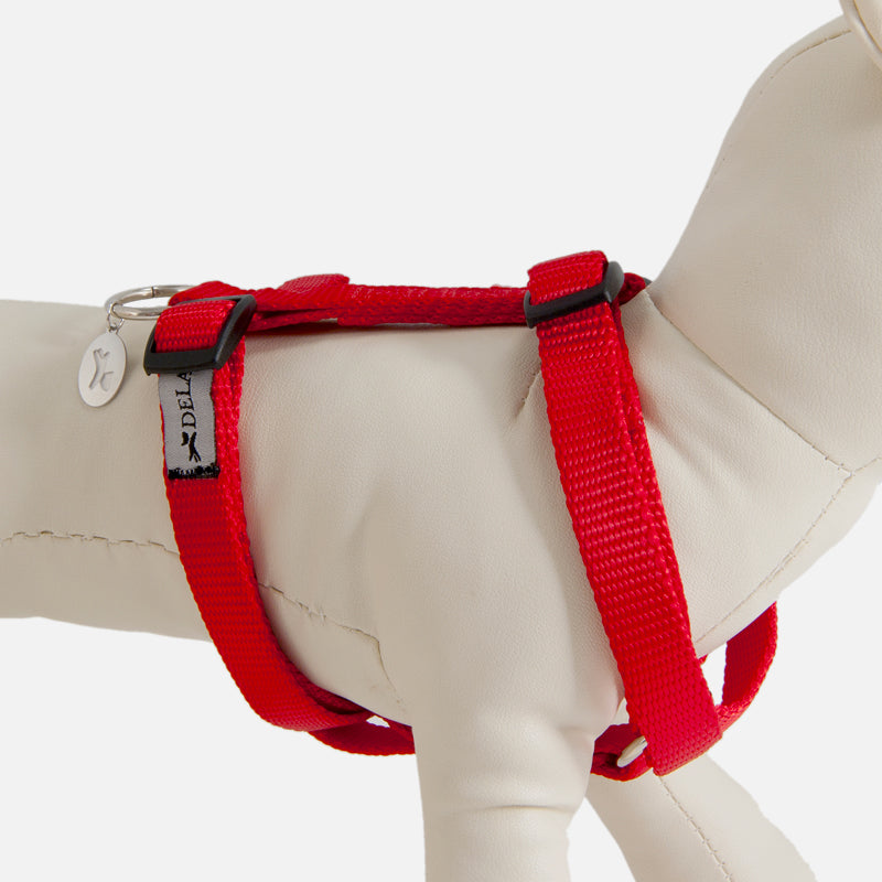 Pettorina ad H EASY ROSSA