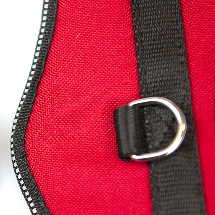 Pettorina Norvegese SCARLET