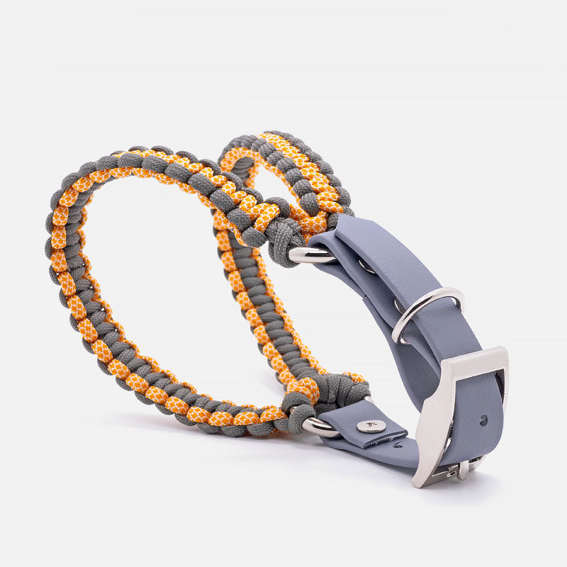 Pettorina in Paracord ACCIAROLI Taglia S