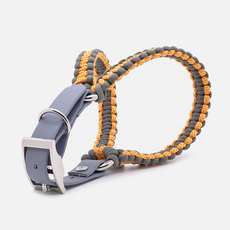 Pettorina in Paracord ACCIAROLI Taglia S