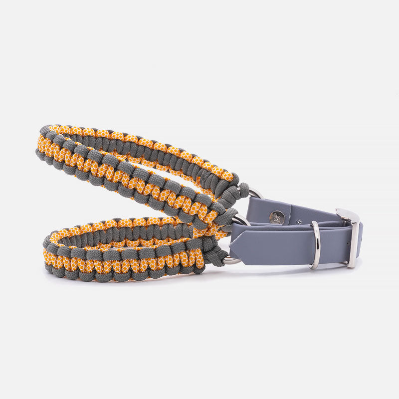 Pettorina in Paracord ACCIAROLI Taglia S