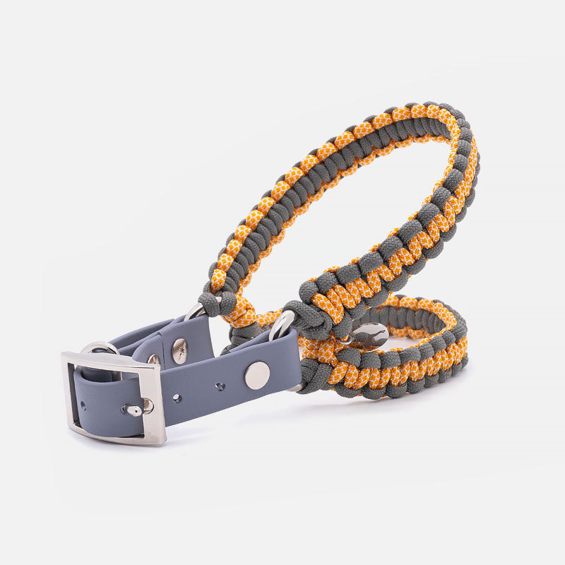 Pettorina in Paracord ACCIAROLI Taglia S