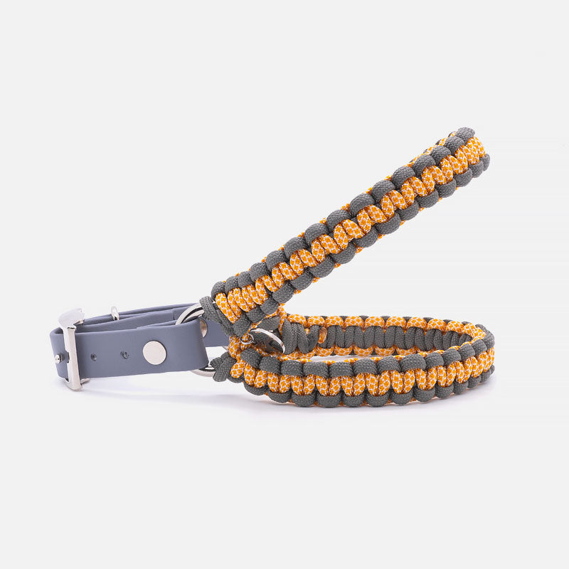 Pettorina in Paracord ACCIAROLI Taglia S
