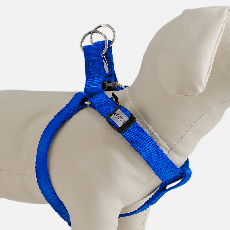 Pettorina ad Y EASY BLU